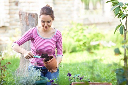 Person using a screen reader on a smartphone to review garden care instructions