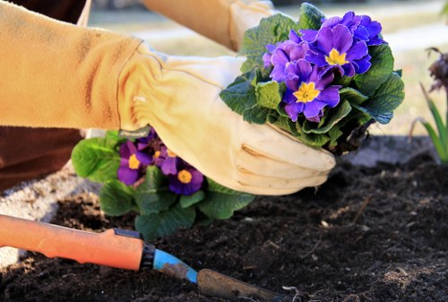 Eco-friendly tree management practices in Spitalfields