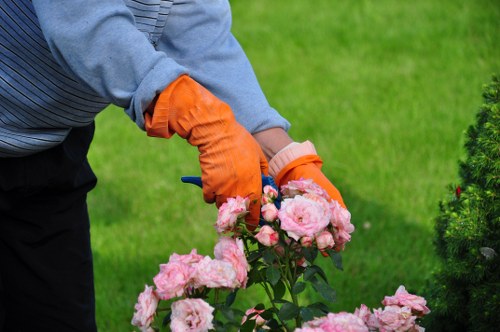 The image shows a gardener in a grey and navy striped sweater and bright orange gardening gloves tending to a flower bed filled with pink roses. The gardener is using a gardening tool to prune or support the roses, with green grass and neatly trimmed shrubbery visible in the background. The garden layout features a lush, well-maintained lawn surrounding the flower bed, which is bordered by soil and a paved pathway. The scene is outdoors under natural light, suggesting a mild weather condition suitable for gardening activities, with vibrant colours of the blooming roses contrasting against the rich green foliage and grass. This setting exemplifies typical garden care and maintenance practices relevant to professional gardening services in Spitalfields, aiming to enhance floral displays and garden aesthetics.