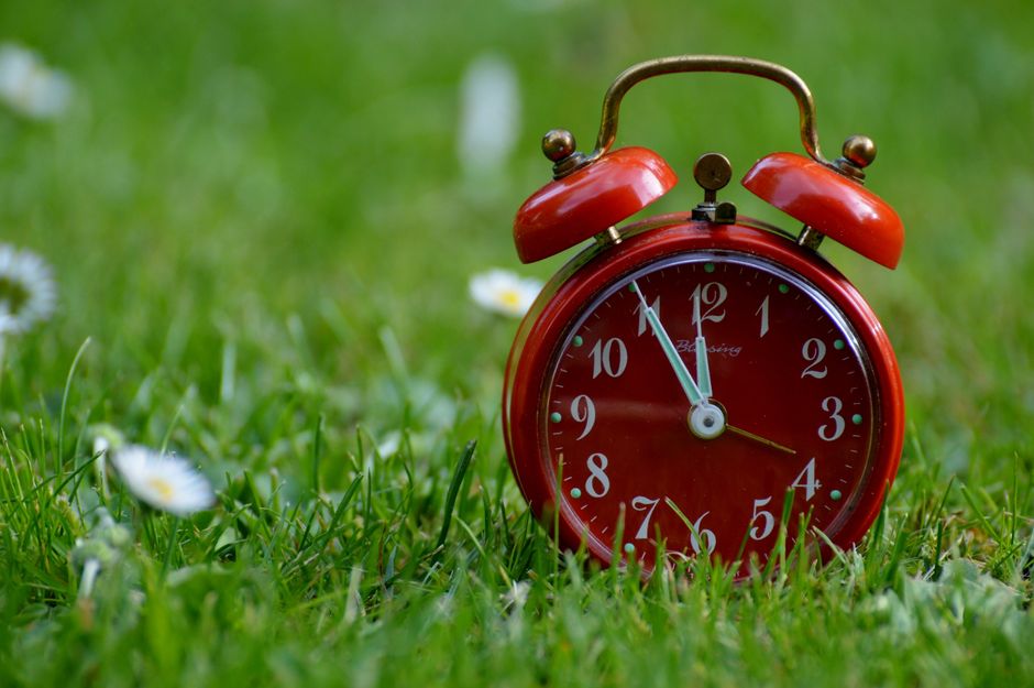 A close-up of a red vintage-style alarm clock with metal bells and a handle, positioned on a lush green grassy garden. The clock face displays a time of approximately 11:55, with the hour hand pointin